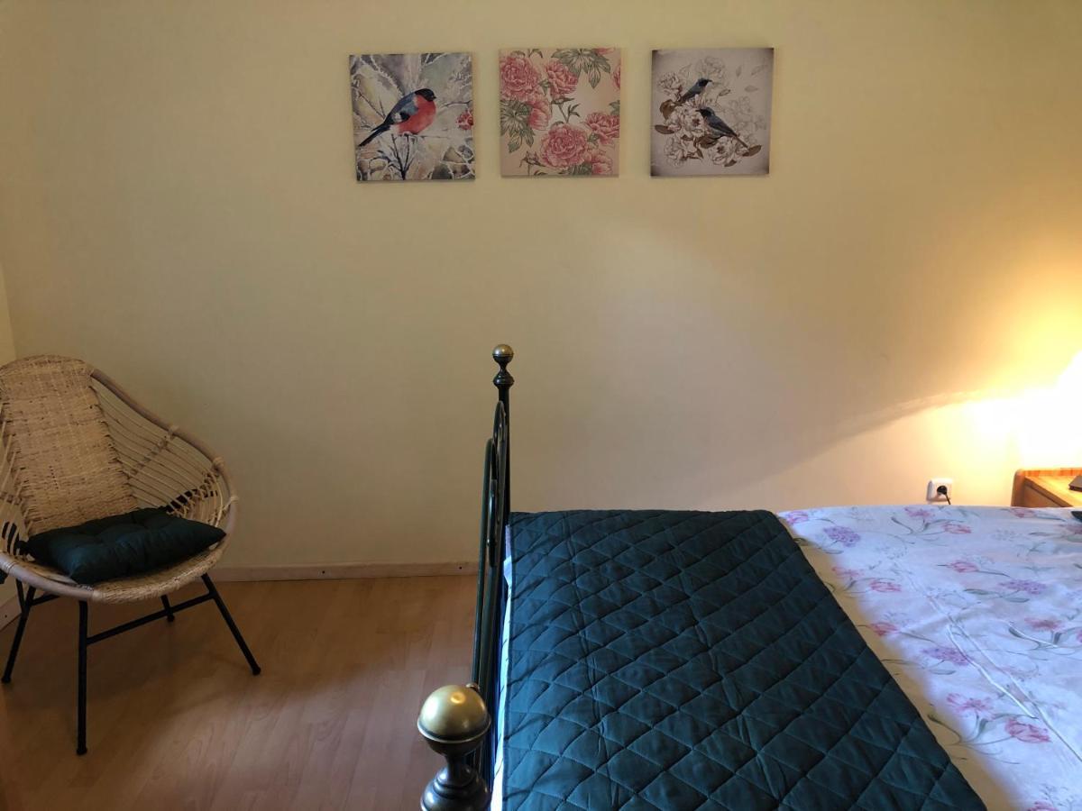 Za Piecem Villa Guzowy Piec ภายนอก รูปภาพ